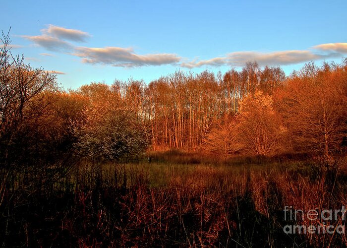 Nature Greeting Card featuring the photograph Autumn splendour by Stephen Melia