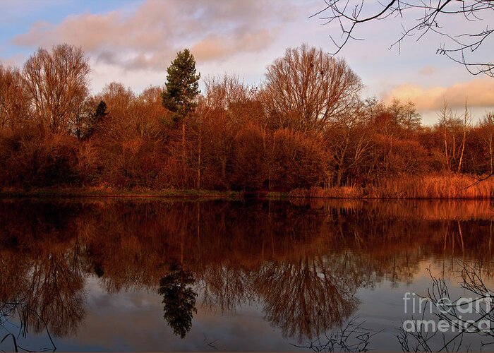 Landscape Greeting Card featuring the photograph Autumn Symmetry by Stephen Melia