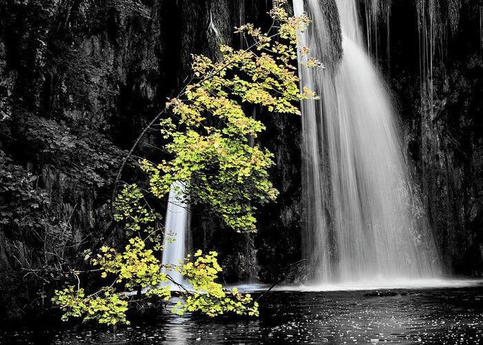 Waterfall Greeting Card featuring the photograph Autumn Tree and Waterfall by Artur Bogacki