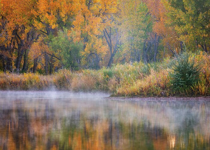 Pond Greeting Card featuring the photograph Autumn's Canvas by Darren White