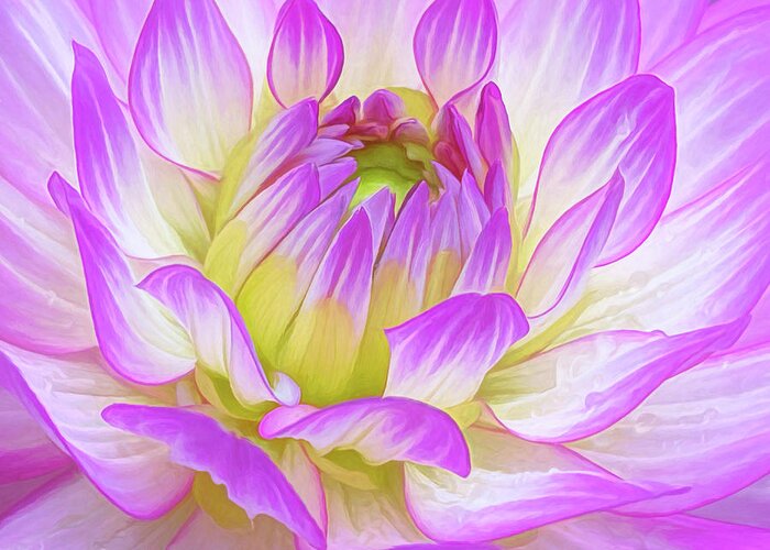 Dahlia Greeting Card featuring the photograph Awakening Dahlia by Kevin Lane