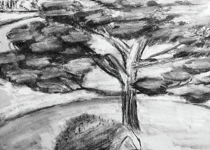 Charcoal Greeting Card featuring the drawing Away From The Noise by Lisa White