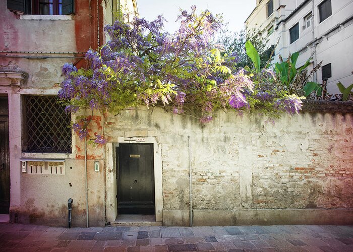 Fine Art Greeting Card featuring the photograph B001889 - Wisteria in Venice by Marco Missiaja