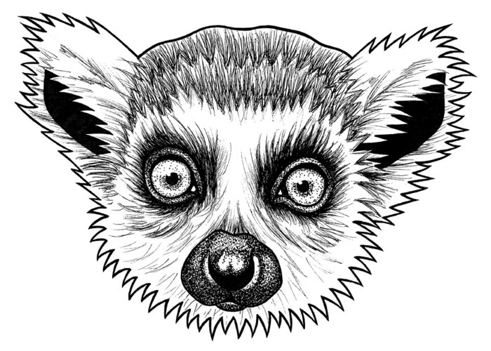 cropped-leaping-lemur.png – Bunny Trails Pet Ranch