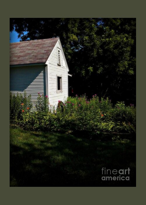 Summer Flower Garden Greeting Card featuring the photograph Backyard Flowers Morning Sunlight - Soft by Frank J Casella