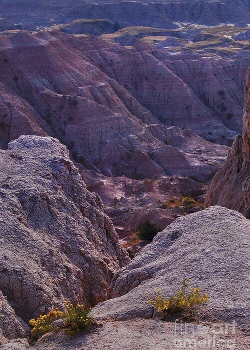 Badlands Greeting Card featuring the photograph Badlands Divide by Randy Pollard