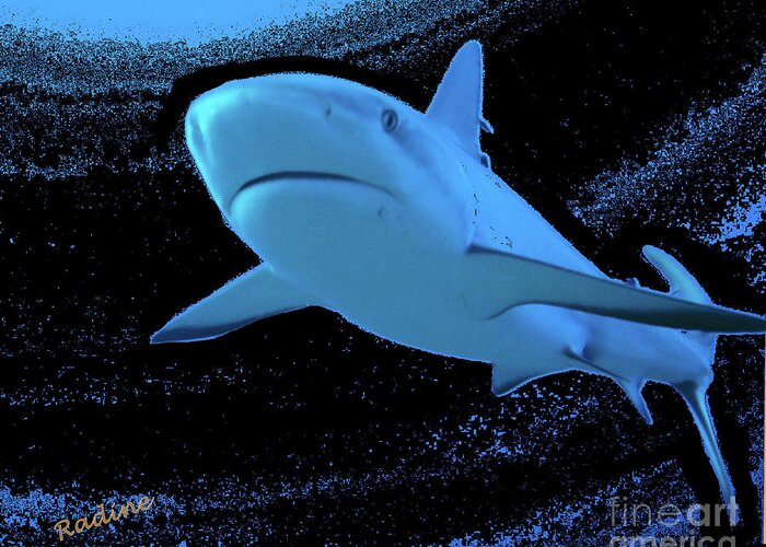 Shark Greeting Card featuring the digital art Bahamas Reef Shark-fun by Radine Coopersmith