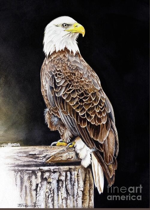 Bird Greeting Card featuring the painting Bald Eagle by Jeanette Ferguson