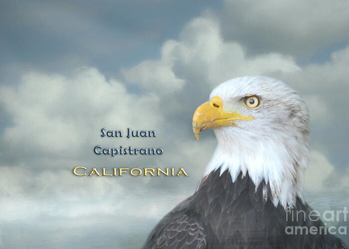 San Juan Capistrano Greeting Card featuring the mixed media Bald Eagle San Juan Capistrano CA by Elisabeth Lucas