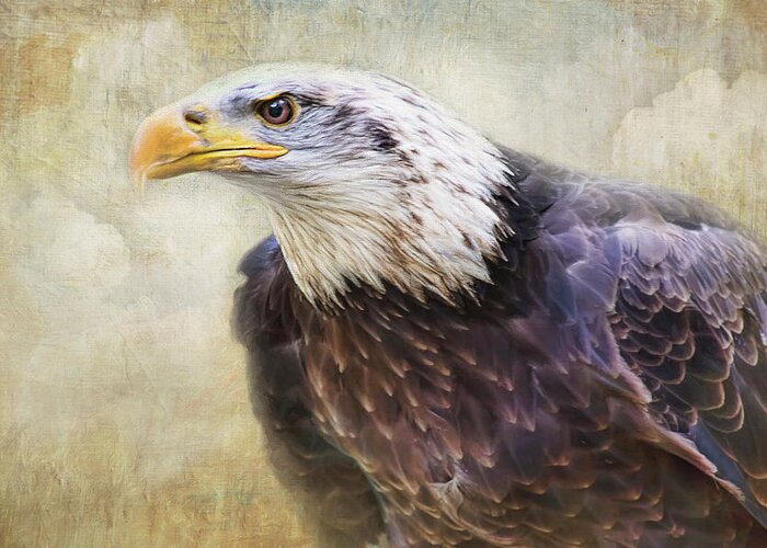 Bald Eagle Greeting Card featuring the photograph Bald Eagle - The Cloud Dweller by Peggy Collins