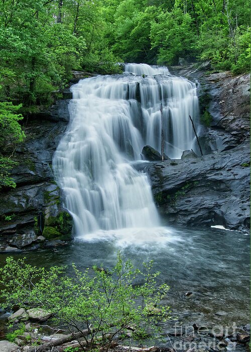 Cherokee National Forest Greeting Card featuring the photograph Bald River Falls 41 by Phil Perkins