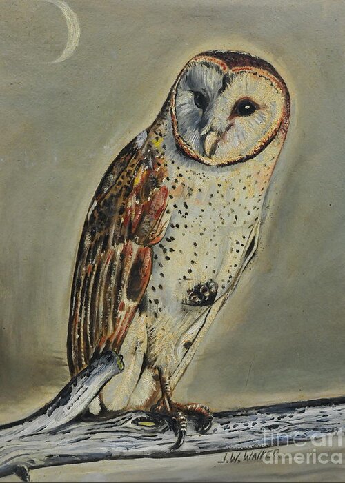 Barn Greeting Card featuring the painting Barn Owl by John W Walker