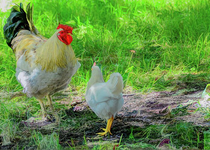 Chicken Greeting Card featuring the photograph Barnyard Chatter by Marcy Wielfaert