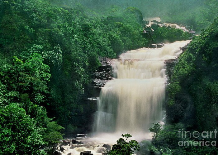Dave Welling Greeting Card featuring the photograph Base Of Angel Falls Canaima National Park Venezuela by Dave Welling
