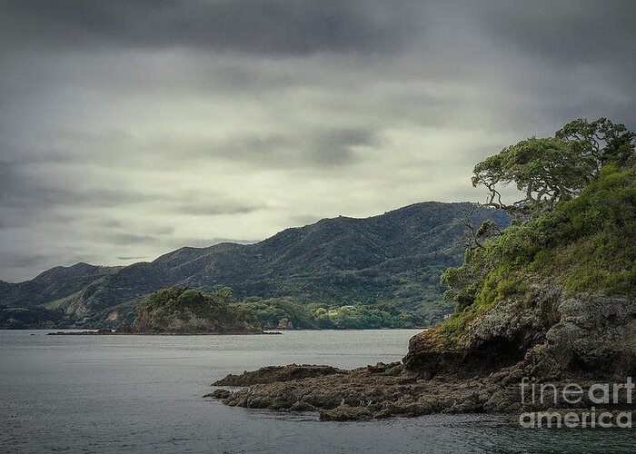 Island Greeting Card featuring the photograph Bay of Islands, New Zealand 4 by Elaine Teague