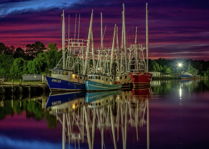 Bayou Greeting Card featuring the photograph Bayou Nights Square Image by Brad Boland