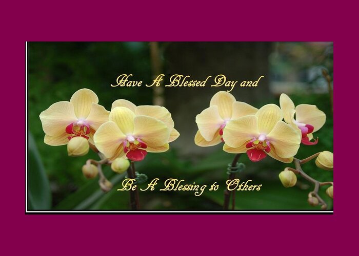 Blessings Greeting Card with yellow and magenta orchids in the Nancy's Novelty Photos on Pixels Flowers collection