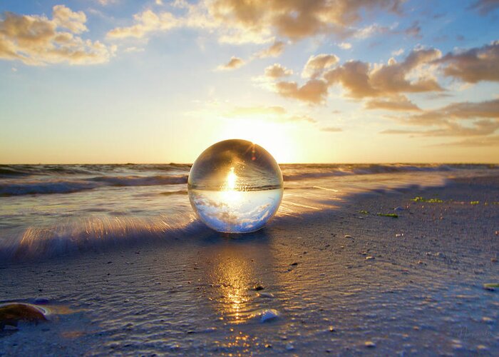 South Florida Greeting Card featuring the photograph Beach Ball by Nunweiler Photography