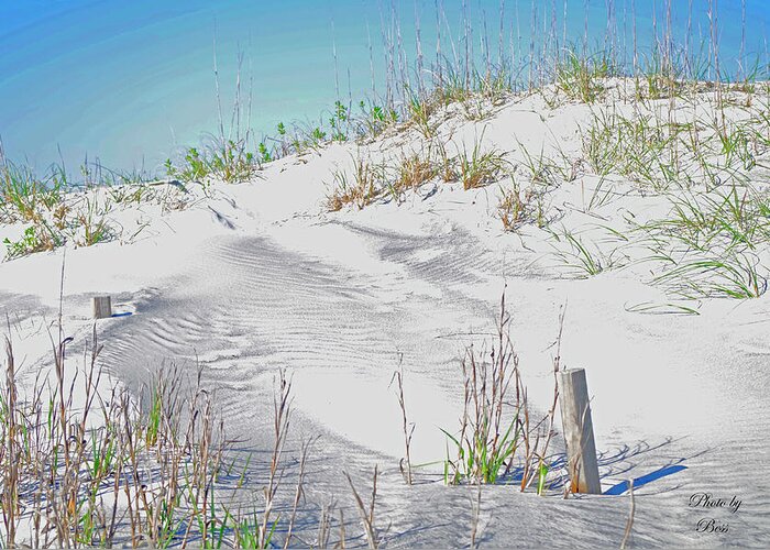 Beach Sand Dune In Florida Coast. Greeting Card featuring the photograph Beach dune by Bess Carter