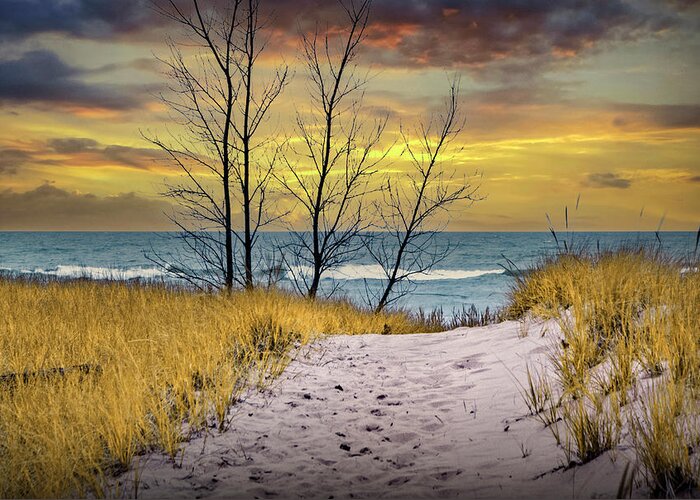 Art Greeting Card featuring the photograph Beach on Lake Michigan at Sunset by Holland Michigan with Dune G by Randall Nyhof