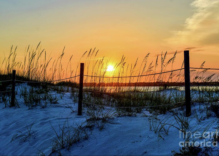 Sun Greeting Card featuring the photograph Beach Sand Dunes Sunset, Perdido Key, Florida by Beachtown Views