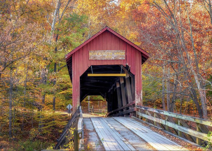 Bean Blossom Bridge Greeting Card featuring the photograph Bean Blossom Covered Bridge in Autumn by Susan Rissi Tregoning