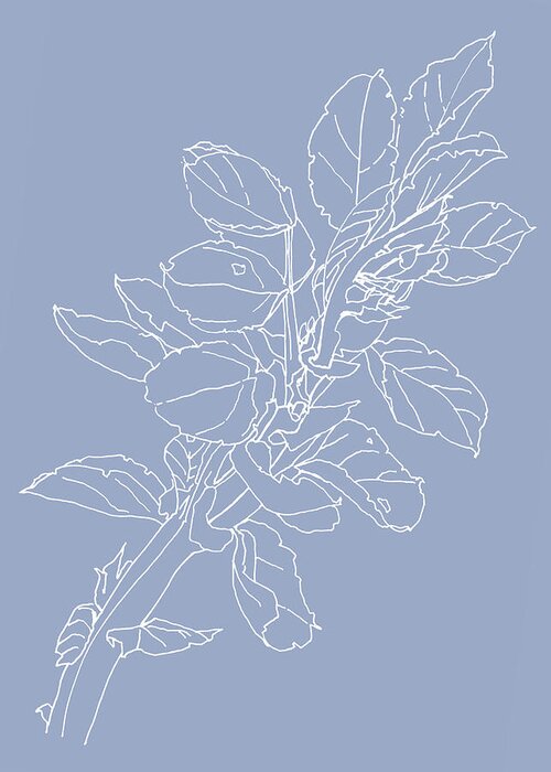 White Line Drawing Greeting Card featuring the drawing 0061-Beans Coming Blue by Anke Classen