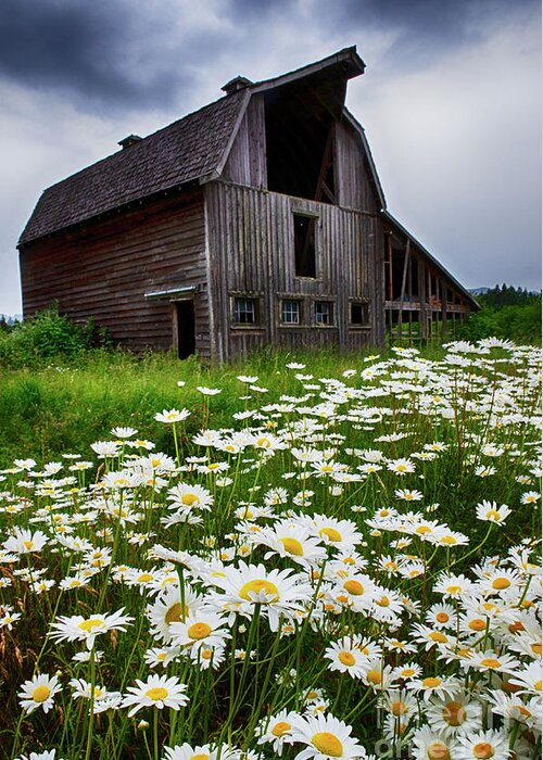 Barn Greeting Card featuring the photograph Beautiful Barns by Bob Christopher