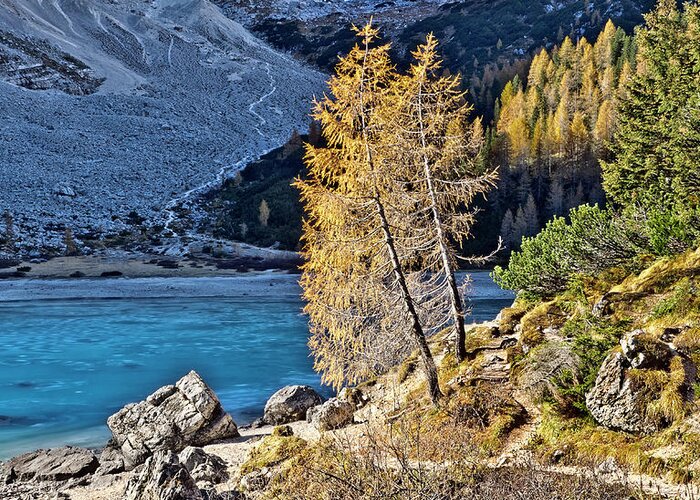 Beautiful High Altitude Lake Ice Dolimites Italy Yellow Larch Trees Cliffs Stones Boulders Duo Couple Standing Alone Mountains Bright Vivid Cheerful Charm Nature Beauty Blue Sky Wriggled Wrinkled Art Wonderland Attractive Delightful Walking Hiking Magnificent Impressions Serene Golden Rocks Rocky Autumn Holiday Travel Allure Duo Color Wild Impressive Hills Hilly Majestic Awesome Breathtaking Mind-blowing Snow Paths Untroubled Peaceful Unwind Sunny Vibrant Warm Pleasant Turquoise Limestone Alps Greeting Card featuring the photograph beautiful high altitude mountain lake Sorapiss covered with ice AUTUMN OCTOBERDolimites North Italy by Tatiana Bogracheva