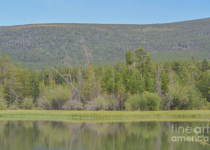 America Greeting Card featuring the photograph #2 Beautiful mirrored view of Moose Pond in the Flaming Gorge National Recreation Area, Utah #2 by Norm Lane