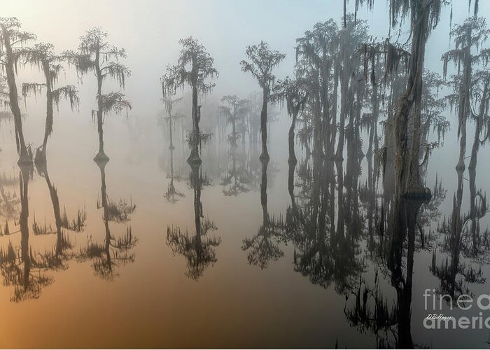 Fog Greeting Card featuring the photograph Beauty In The Fog 2 by DB Hayes