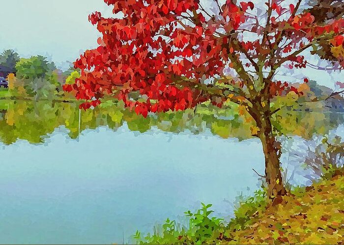 Water Greeting Card featuring the photograph Beaver Lake Autumn Dreams by Allen Nice-Webb