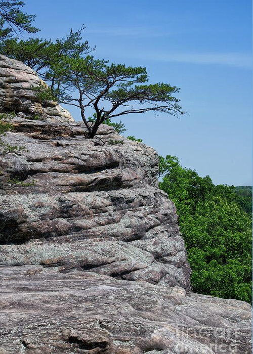 View Greeting Card featuring the photograph Bee Rock Overlook 10 by Phil Perkins