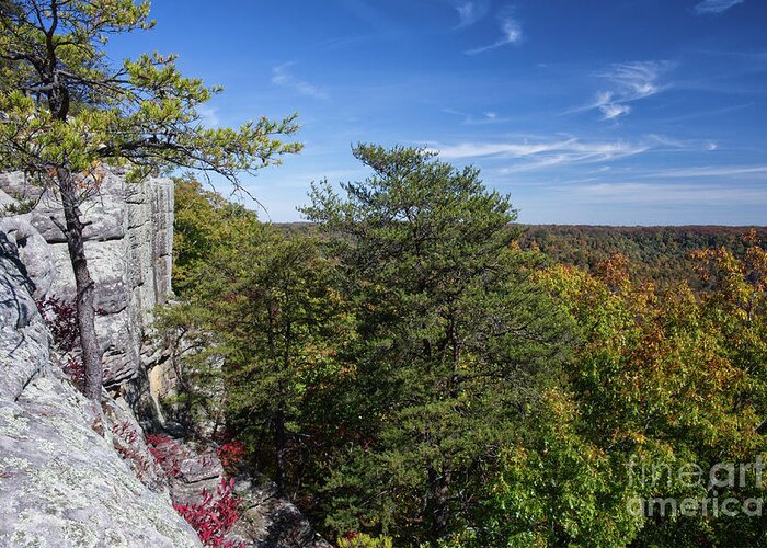 View Greeting Card featuring the photograph Bee Rock Overlook 20 by Phil Perkins