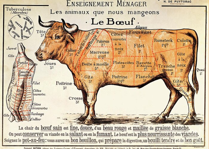 Le Boeuf; Cow; Cut; Joint; Food; Animal; Butchering Greeting Card featuring the drawing Beef by French School