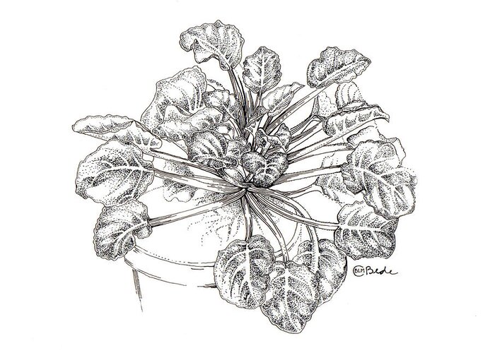 African Violet Greeting Card featuring the drawing Before I Was Free by Catherine Bede
