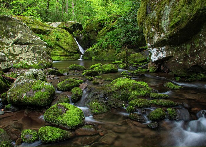 Great Smoky Mountains National Park Greeting Card featuring the photograph Below Place of a Thousand Drips by Melissa Southern