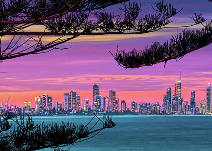 Gold Coast City Skyline Greeting Card featuring the photograph Beyond The Pines by Az Jackson