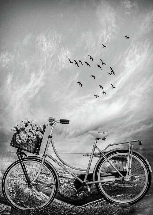 Bike Greeting Card featuring the photograph Bicycle at the Lake Beach II Black and White by Debra and Dave Vanderlaan