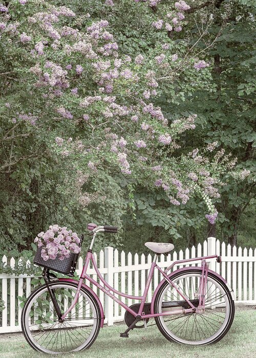Carolina Greeting Card featuring the photograph Bicycle by the Farmhouse Garden Fence by Debra and Dave Vanderlaan