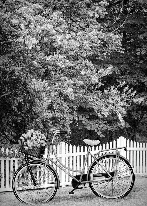 Carolina Greeting Card featuring the photograph Bicycle by the Garden Fence Black and White by Debra and Dave Vanderlaan