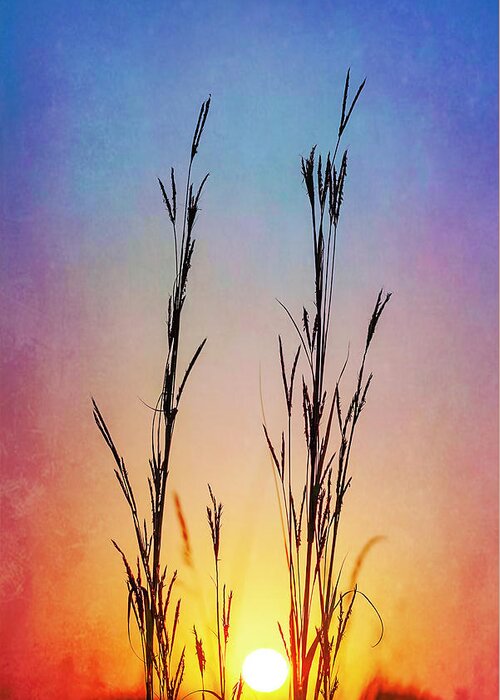 Nature Greeting Card featuring the photograph Big Bluestem Texture by Brad Mangas