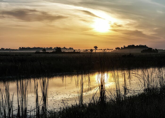 Big Cypress National Preserve Greeting Card featuring the photograph Big Cypress Sunrise by Rudy Wilms