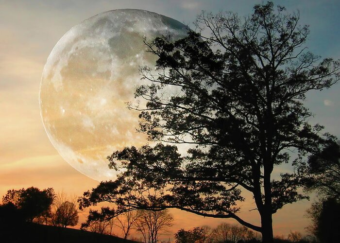 Moon Greeting Card featuring the photograph Big Moon in Sunset by Shara Abel