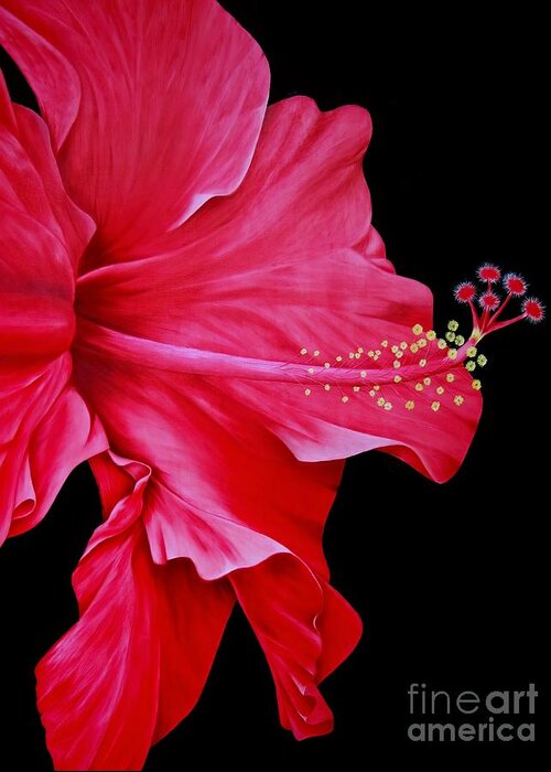 Red Hibiscus Flowers Greeting Card featuring the painting Big Red by Mary Deal