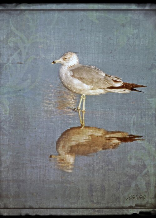 Fine Art Greeting Card featuring the photograph Bird Reflection by Shara Abel