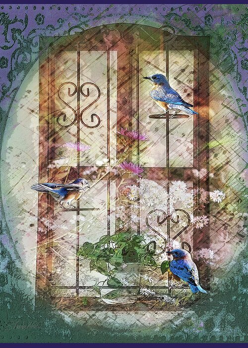 Photography Greeting Card featuring the photograph Birds in the Kitchen by Shara Abel