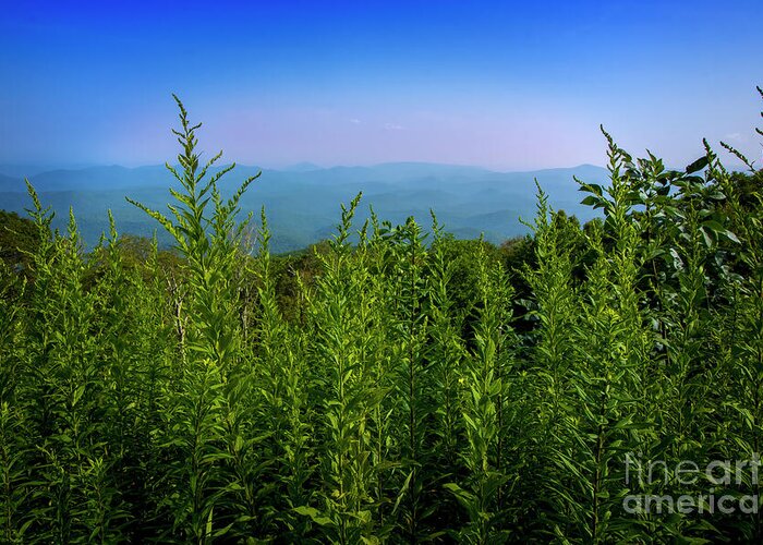Blue Ridge Mountains Greeting Card featuring the photograph Birdseye view of Blue Ridge Mountains by Shelia Hunt