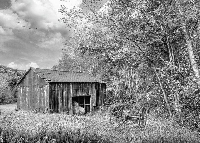 Barns Greeting Card featuring the photograph Black and White Hay Barn along the Creeper Trail Damascus Virgin by Debra and Dave Vanderlaan