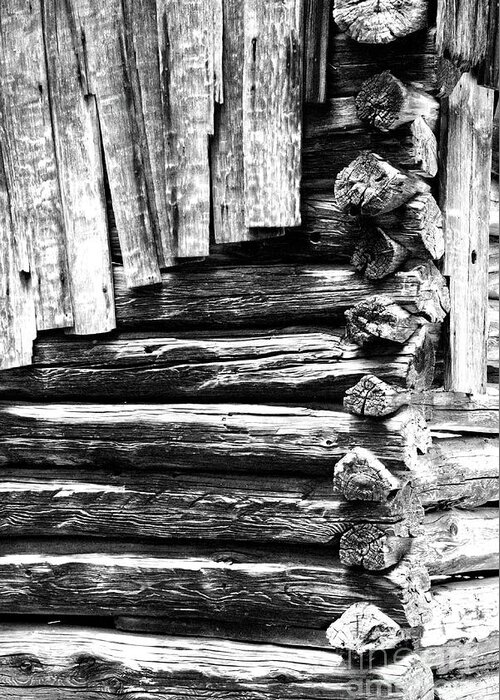 Black And White Greeting Card featuring the photograph Black And White Log Cabin by Phil Perkins